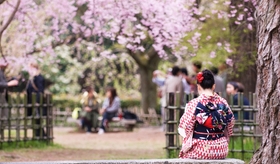 Từ vựng tiếng Nhật về mùa xuân- mùa được xem là đẹp nhất trong năm tại Nhật Bản