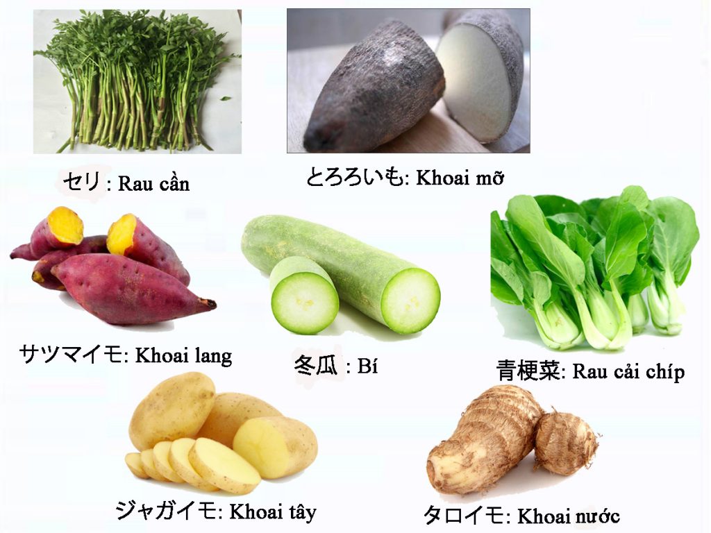Học từ vựng tiếng Nhật chuyên ngành thực phẩm