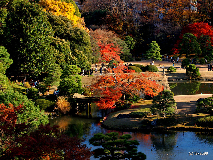 5 địa điểm lý tưởng để ngắm mùa thu Nhật Bản