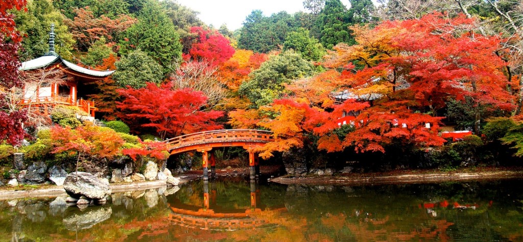 5 địa điểm lý tưởng để ngắm mùa thu Nhật Bản