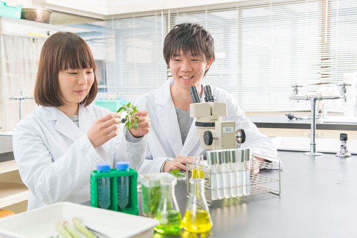 Du học Nhật Bản ngành công nghệ sinh học